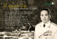 Đại tướng Võ Nguyên Giáp