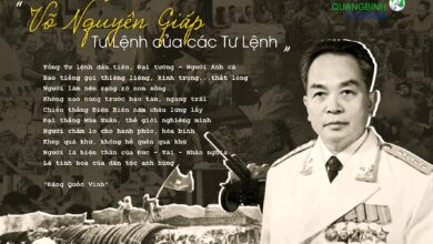 Đại tướng Võ Nguyên Giáp