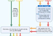 Hướng dẫn du lịch Quảng Bình bằng đường bộ