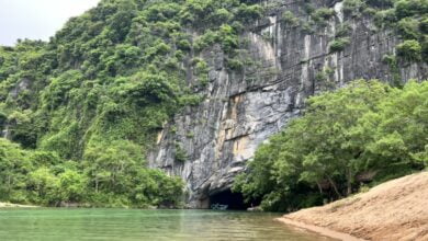 Cửa vào Động Phong Nha